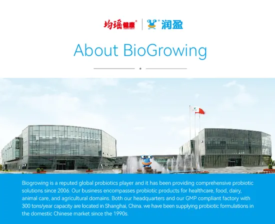 Polvo de lactobacillus de cepas individuales de Bifidobacterium Lactis
